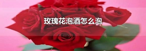 玫瑰花泡酒怎么泡