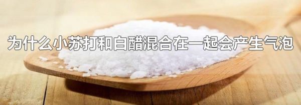 为什么小苏打和白醋混合在一起会产生气泡