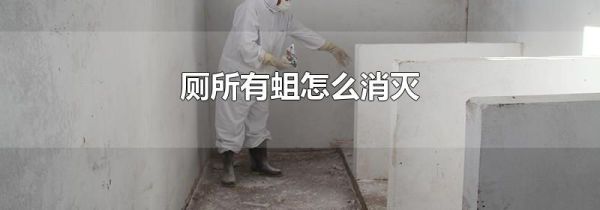 厕所有蛆怎么消灭