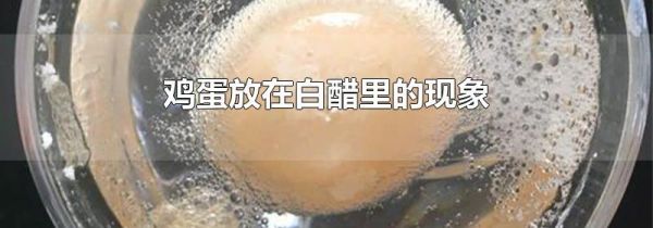 鸡蛋放在白醋里的现象