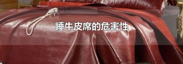 睡牛皮席的危害性