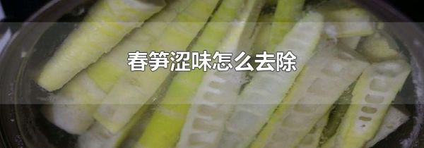 春笋涩味怎么去除