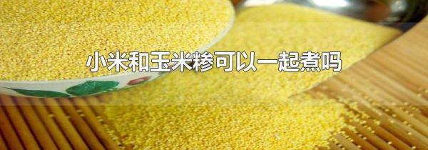小米和玉米糁可以一起煮吗