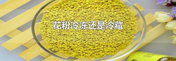 花粉冷冻还是冷藏