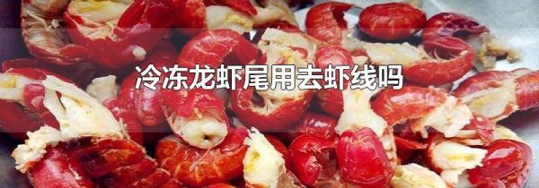 冷冻龙虾尾用去虾线吗