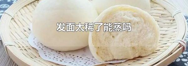 发面太稀了能蒸吗