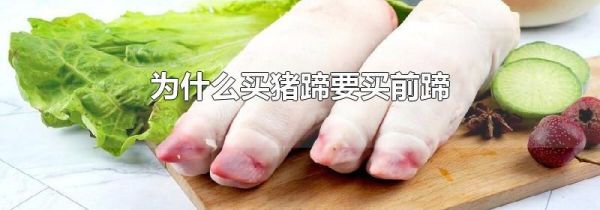 为什么买猪蹄要买前蹄