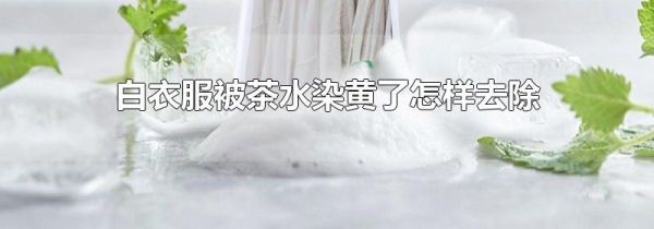 白衣服被茶水染黄了怎样去除