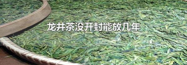 龙井茶没开封能放几年