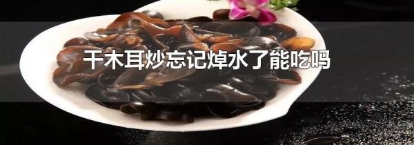 干木耳炒忘记焯水了能吃吗