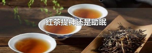 红茶提神还是助眠