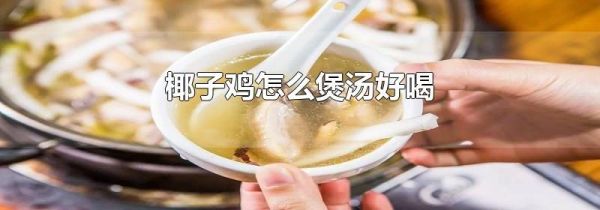 椰子鸡怎么煲汤好喝