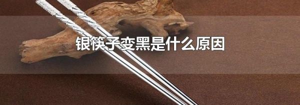 银筷子变黑是什么原因