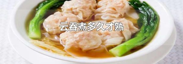 云吞煮多久才熟