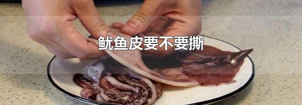 鱿鱼皮要不要撕