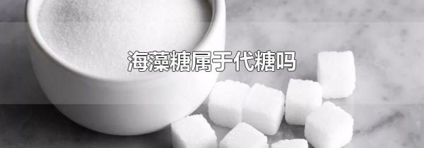 海藻糖属于代糖吗