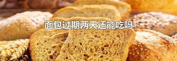 面包过期两天还能吃吗