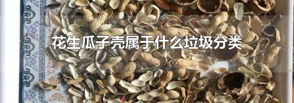 花生瓜子壳属于什么垃圾分类