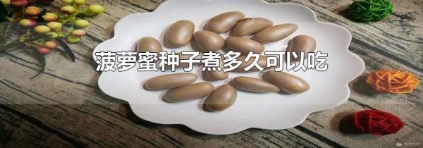菠萝蜜种子煮多久可以吃