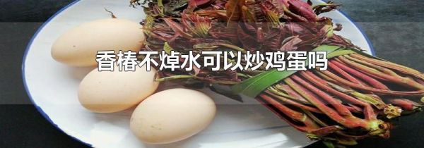 香椿不焯水可以炒鸡蛋吗