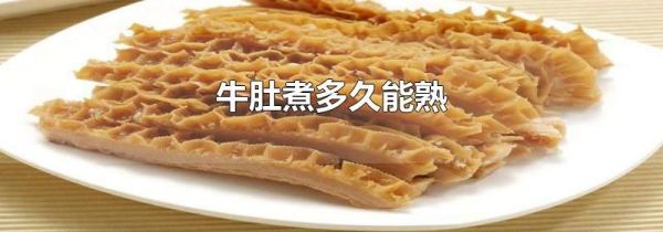 牛肚煮多久能熟