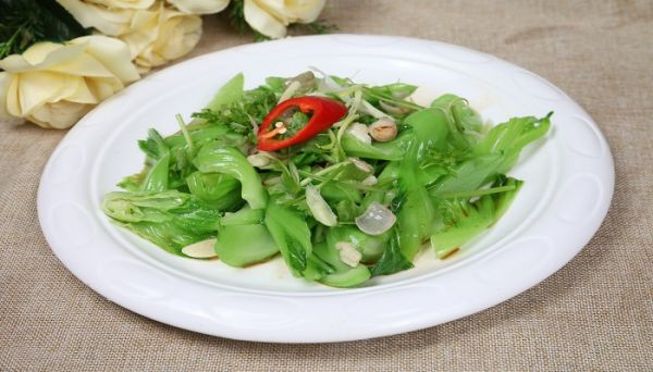 南方芥菜和北方芥菜的区别 南、北方芥菜有什么不同
