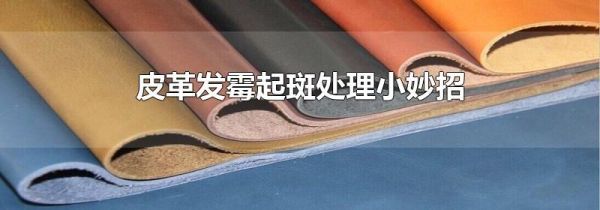 皮革发霉起斑处理小妙招
