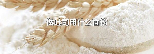 做吐司用什么面粉