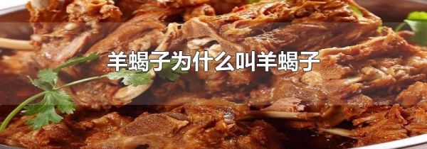 羊蝎子为什么叫羊蝎子