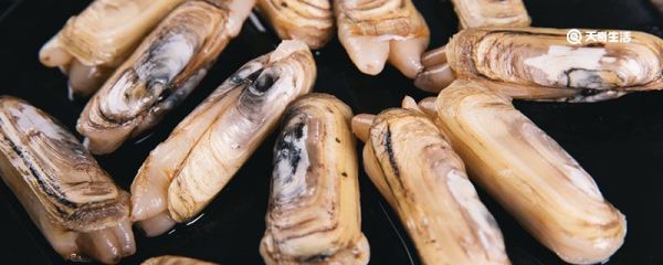 蛏子放冰箱可以活几天 活蛏子能放冰箱吗