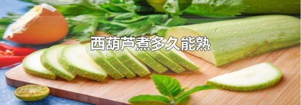 西葫芦煮多久能熟