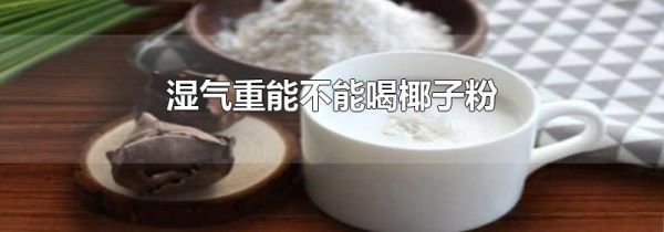 湿气重能不能喝椰子粉