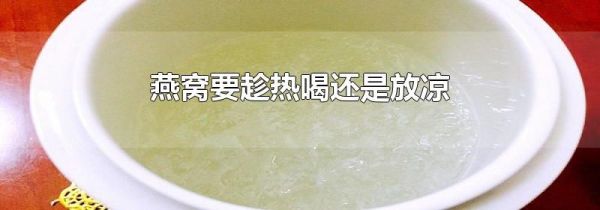 燕窝要趁热喝还是放凉