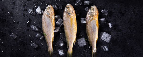 娃娃鱼是什么动物 娃娃鱼是一种什么动物