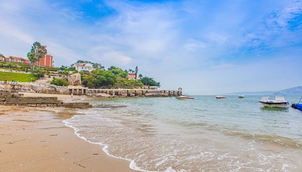 娃娃鱼是什么动物 娃娃鱼是一种什么动物