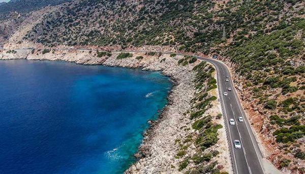 娃娃鱼是什么动物 娃娃鱼是一种什么动物