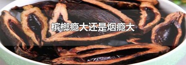 槟榔瘾大还是烟瘾大