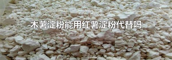 木薯淀粉能用红薯淀粉代替吗
