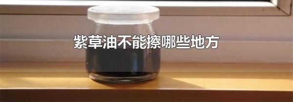紫草油不能擦哪些地方