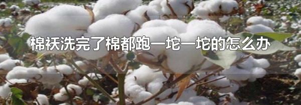 棉袄洗完了棉都跑一坨一坨的怎么办