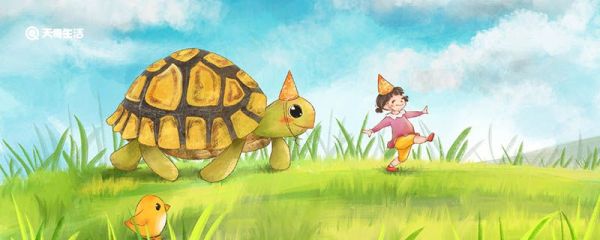 乌龟为什么能这么长寿 为什么乌龟能这么长寿