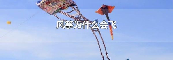 风筝为什么会飞