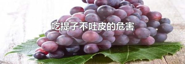 吃提子不吐皮的危害