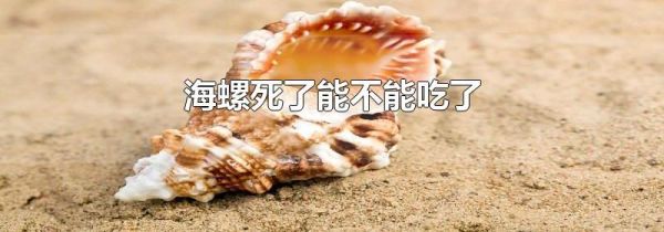 海螺死了能不能吃了