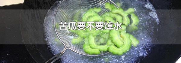 苦瓜要不要焯水