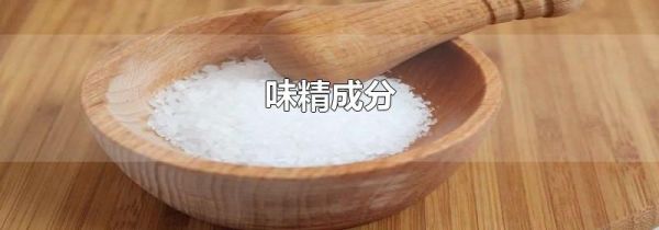 味精成分