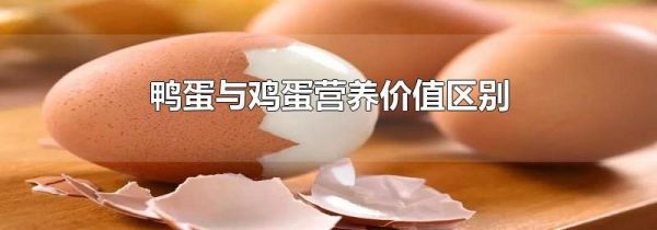 鸭蛋与鸡蛋营养价值区别