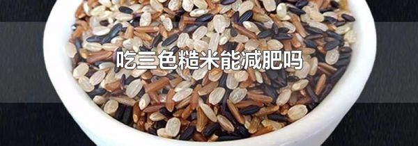 吃三色糙米能减肥吗