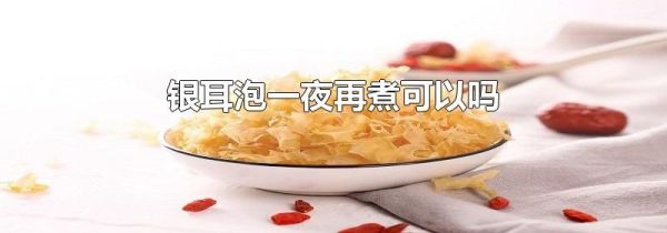 银耳泡一夜再煮可以吗