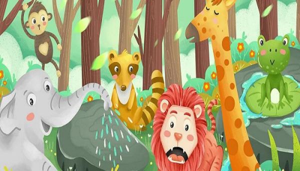 动物名称大全500 动物大全名称有哪些